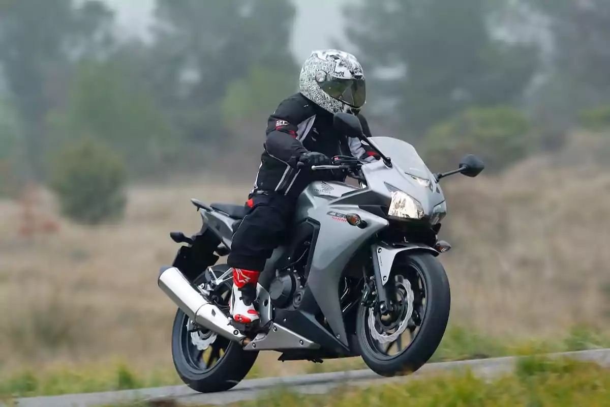 Persona con casco y equipo de protección conduciendo una motocicleta deportiva gris en una carretera rodeada de vegetación y árboles desenfocados al fondo Persona con casco y equipo de protección conduciendo una motocicleta deportiva gris en una carretera rodeada de vegetación y árboles desenfocados al fondo