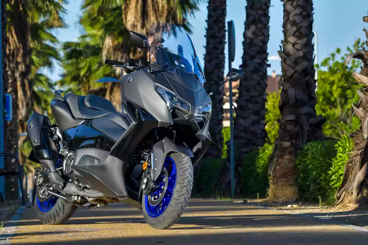 Motocicleta deportiva negra con llantas azules estacionada en un camino rodeado de palmeras y vegetación Motocicleta deportiva negra con llantas azules estacionada en un camino rodeado de palmeras y vegetación