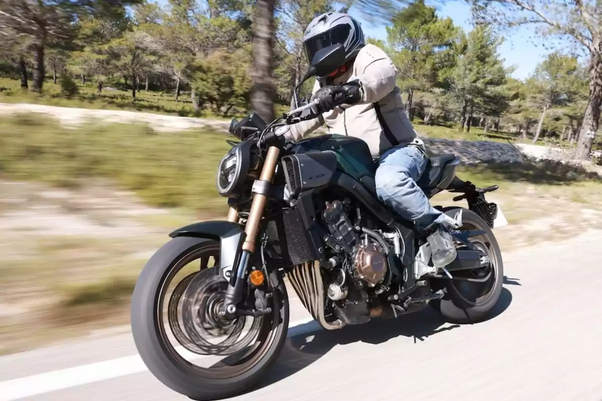 Persona conduciendo una motocicleta deportiva negra a gran velocidad en una carretera rodeada de árboles y vegetación Persona conduciendo una motocicleta deportiva negra a gran velocidad en una carretera rodeada de árboles y vegetación