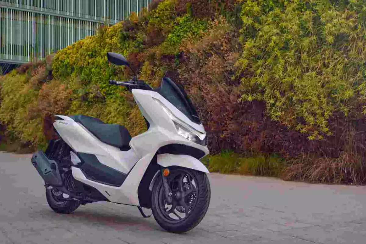 White scooter-type motorcycle parked on pavement next to a wall covered with vegetation White scooter-type motorcycle parked on pavement next to a wall covered with vegetation
