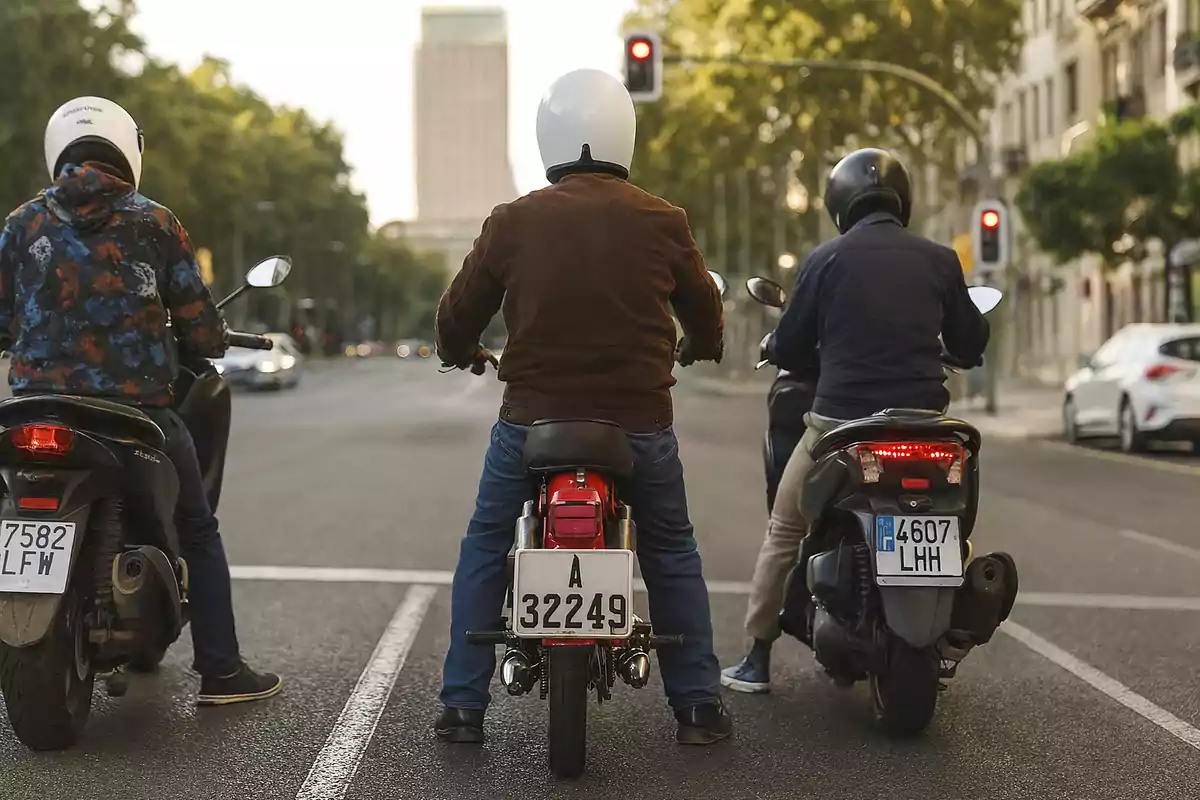 Three people on motorcycles are waiting at a red light on an urban avenue surrounded by trees and buildings. Three people on motorcycles are waiting at a red light on an urban avenue surrounded by trees and buildings.