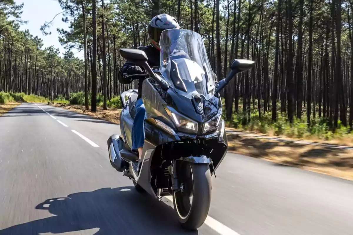 Persona conduciendo una motocicleta negra en una carretera rodeada de árboles altos en un día soleado Persona conduciendo una motocicleta negra en una carretera rodeada de árboles altos en un día soleado