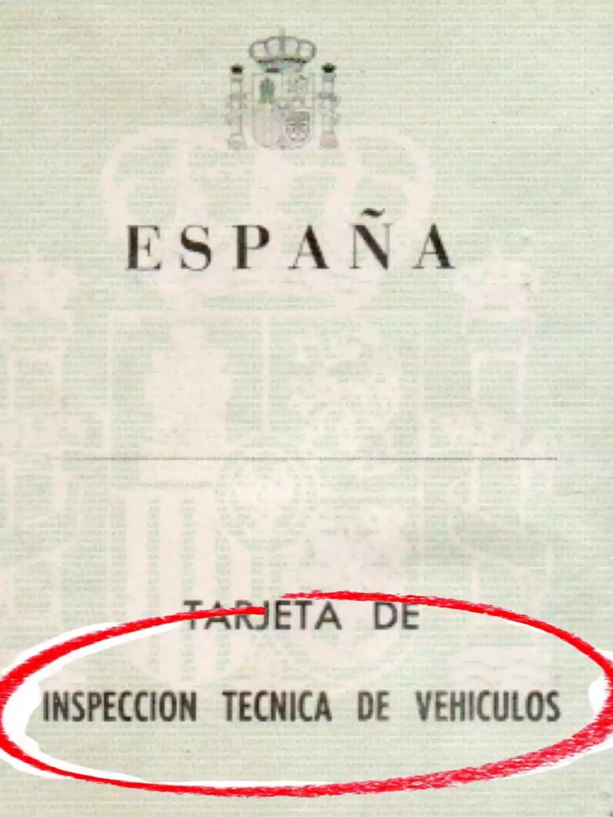 Official Spanish document with the text Official Spanish document with the text