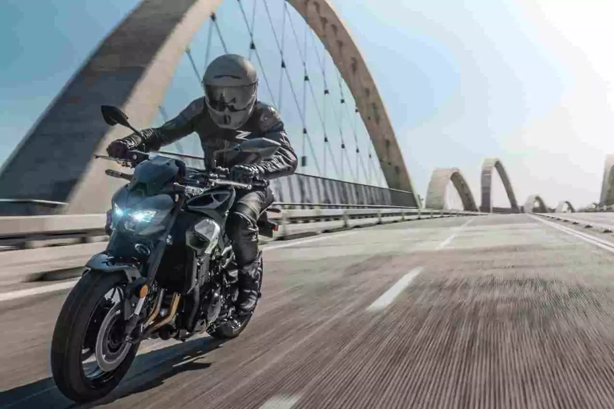 Kawasaki Z900 2025