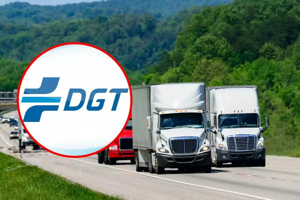 Varios camiones circulan por una autopista rodeada de árboles con el logotipo de la DGT en primer plano. Varios camiones circulan por una autopista rodeada de árboles con el logotipo de la DGT en primer plano.