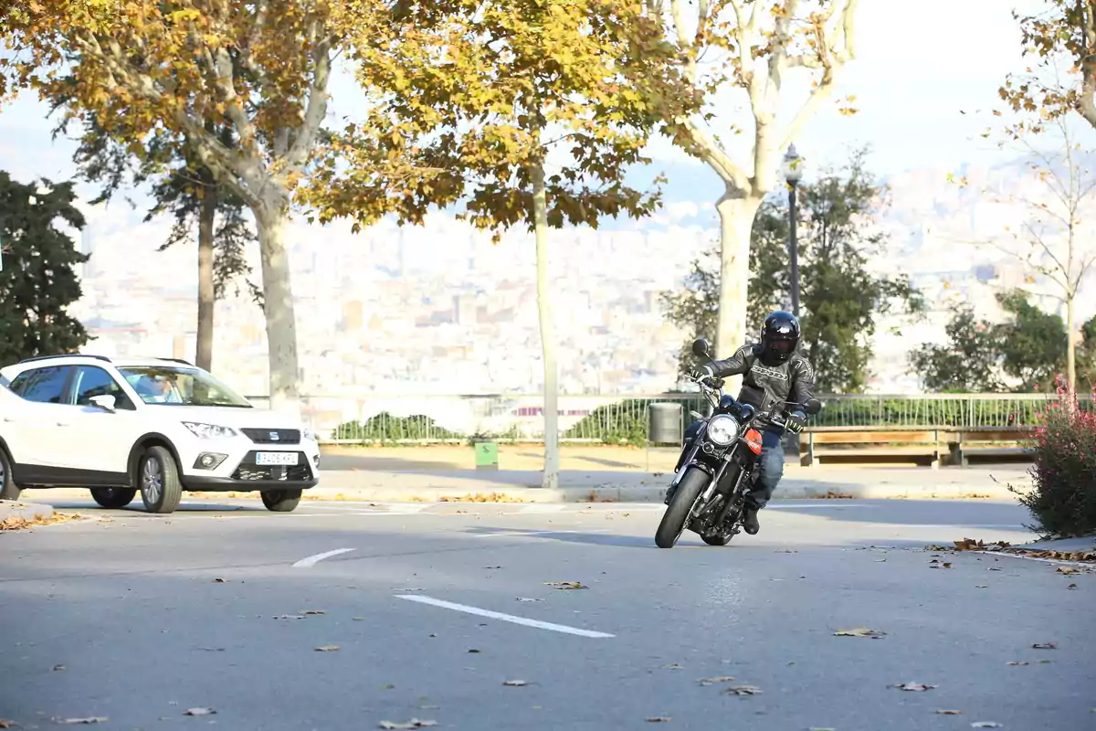 Un motociclista con casco y chaqueta negra toma una curva en una calle arbolada mientras un coche blanco se aproxima desde el fondo en un día soleado de otoño Un motociclista con casco y chaqueta negra toma una curva en una calle arbolada mientras un coche blanco se aproxima desde el fondo en un día soleado de otoño