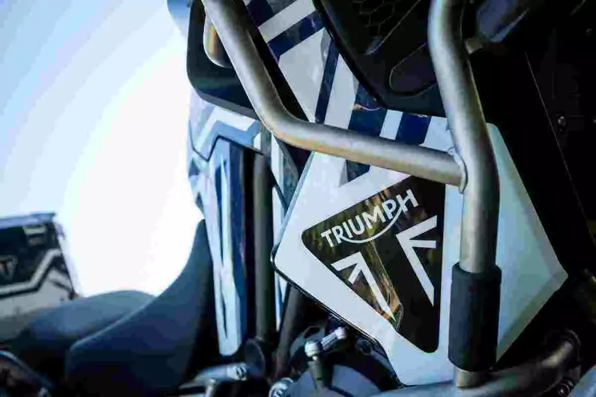 Detalle del tanque de una motocicleta Triumph con diseño en blanco, azul y negro y protección metálica