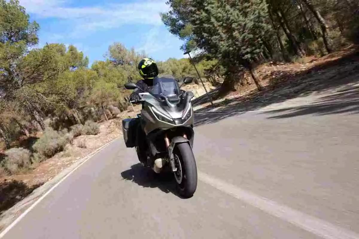 Person riding a motorcycle on a road surrounded by trees on a sunny day Person riding a motorcycle on a road surrounded by trees on a sunny day