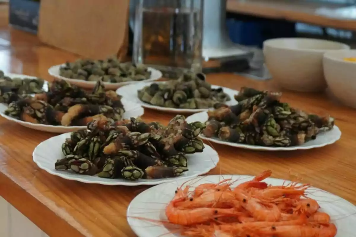 Platos de mariscos variados sobre una mesa de madera, incluyendo percebes, caracoles de mar y camarones Platos de mariscos variados sobre una mesa de madera, incluyendo percebes, caracoles de mar y camarones