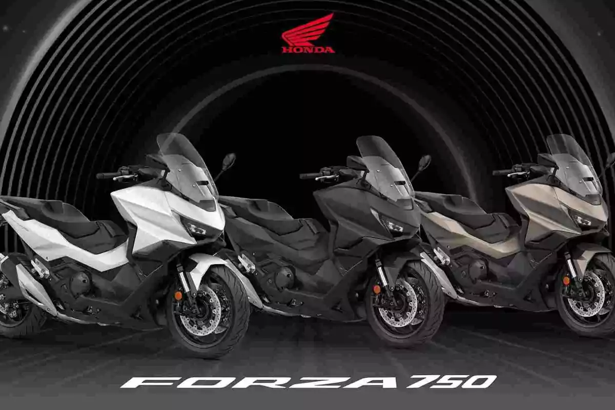 Honda renueva las decoraciones de sus X-ADV y Forza 750 2026 Honda renueva las decoraciones de sus X-ADV y Forza 750 2026