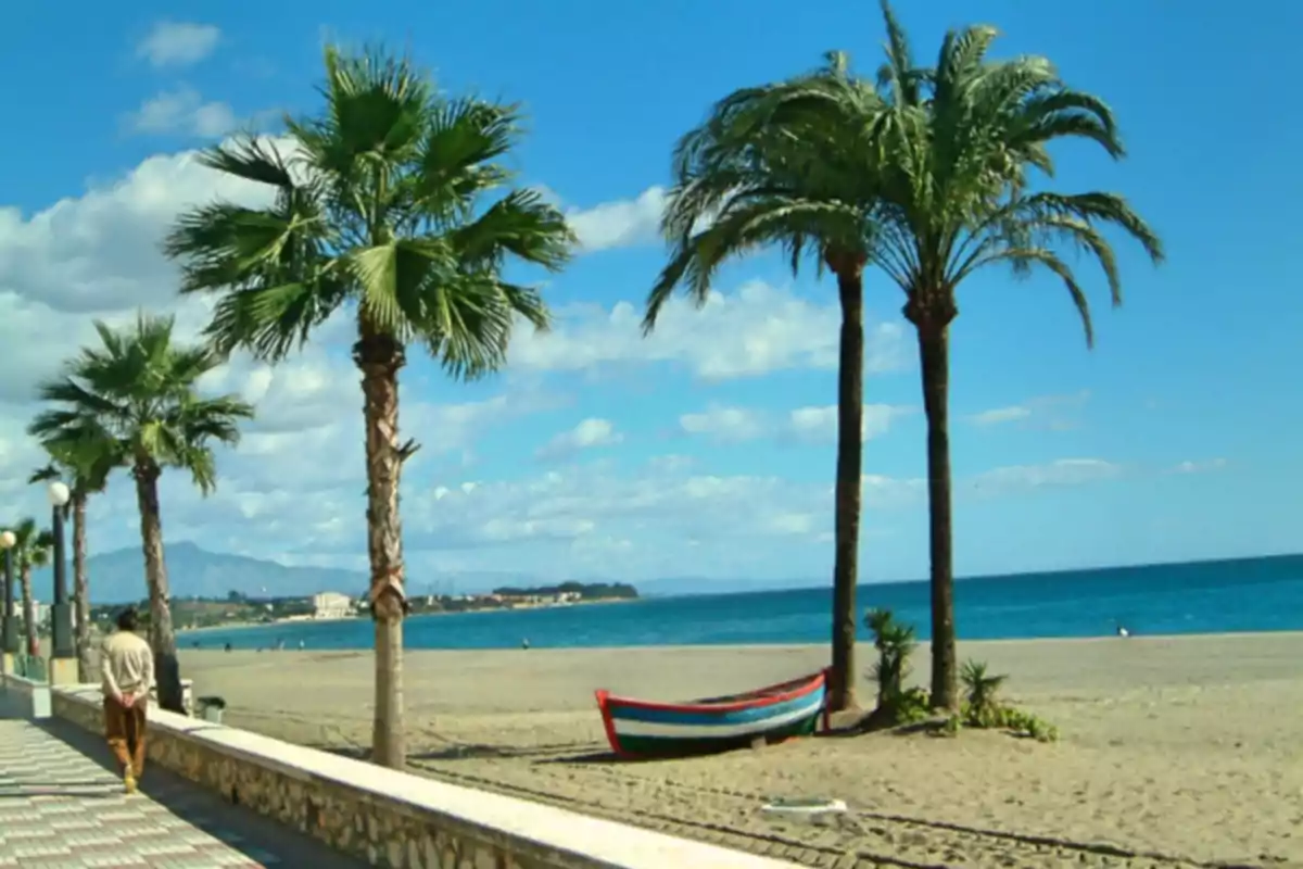 Paseo marítimo con palmeras, una barca en la arena y el mar al fondo en un día soleado Paseo marítimo con palmeras, una barca en la arena y el mar al fondo en un día soleado