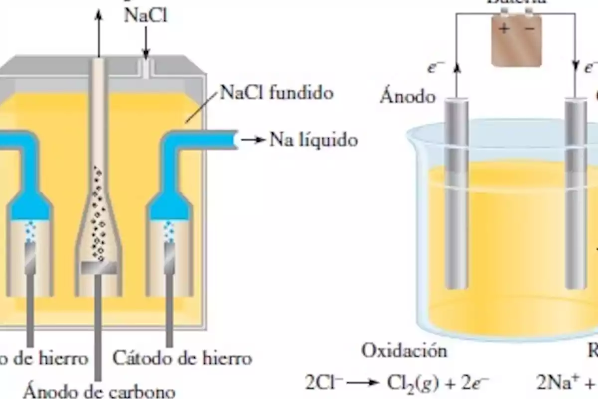 Diagrama que muestra el proceso de electrólisis del cloruro de sodio fundido con electrodos y reacciones químicas involucradas Diagrama que muestra el proceso de electrólisis del cloruro de sodio fundido con electrodos y reacciones químicas involucradas