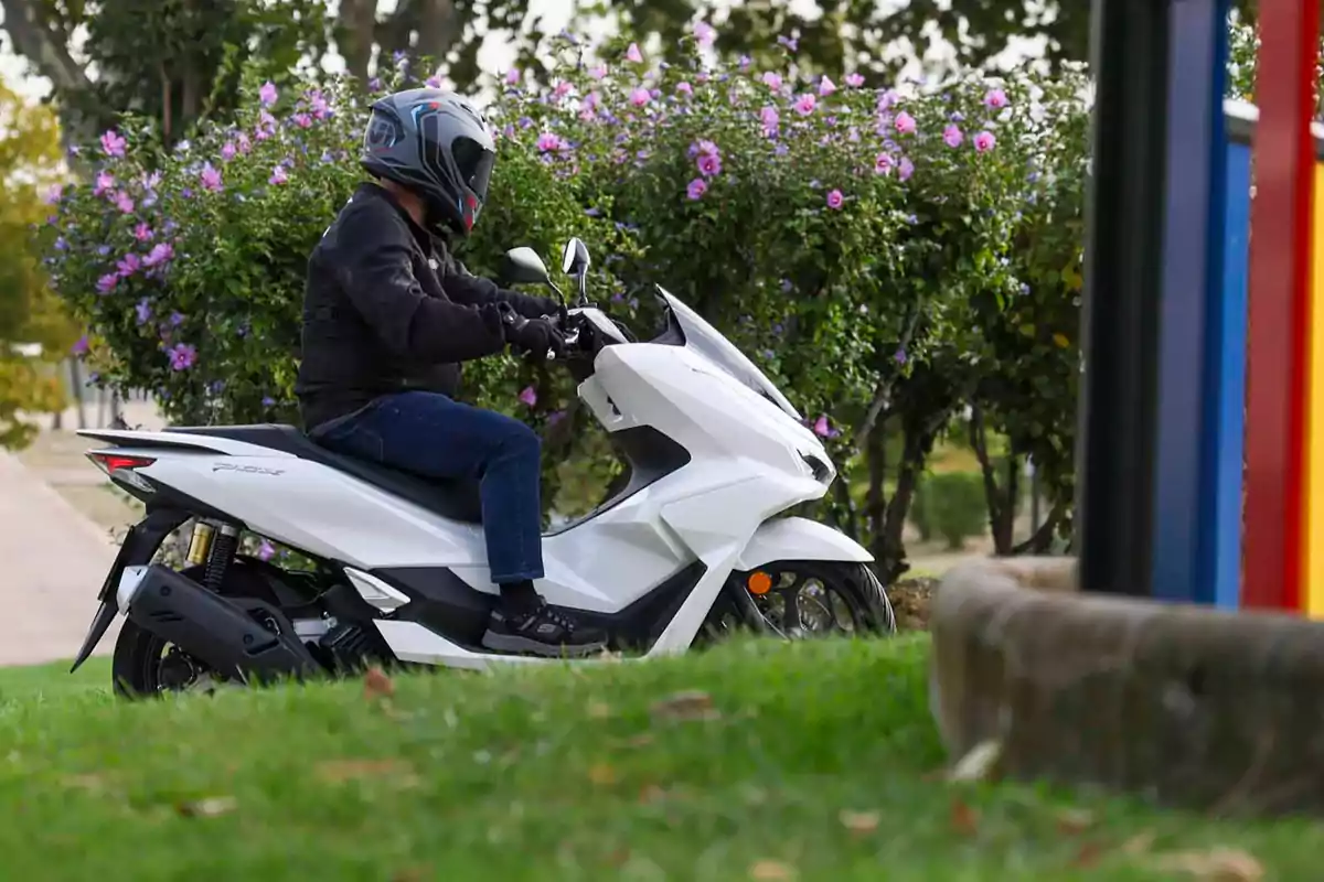Persona con casco negro conduciendo una moto blanca tipo scooter junto a arbustos con flores moradas en un entorno al aire libre Persona con casco negro conduciendo una moto blanca tipo scooter junto a arbustos con flores moradas en un entorno al aire libre