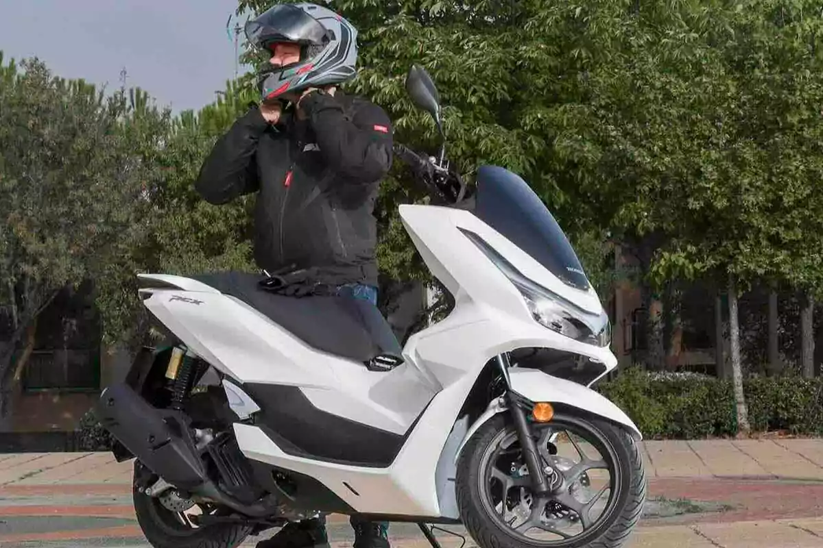 Persona con casco y chaqueta negra sentada en una moto blanca en una calle con árboles de fondo Persona con casco y chaqueta negra sentada en una moto blanca en una calle con árboles de fondo