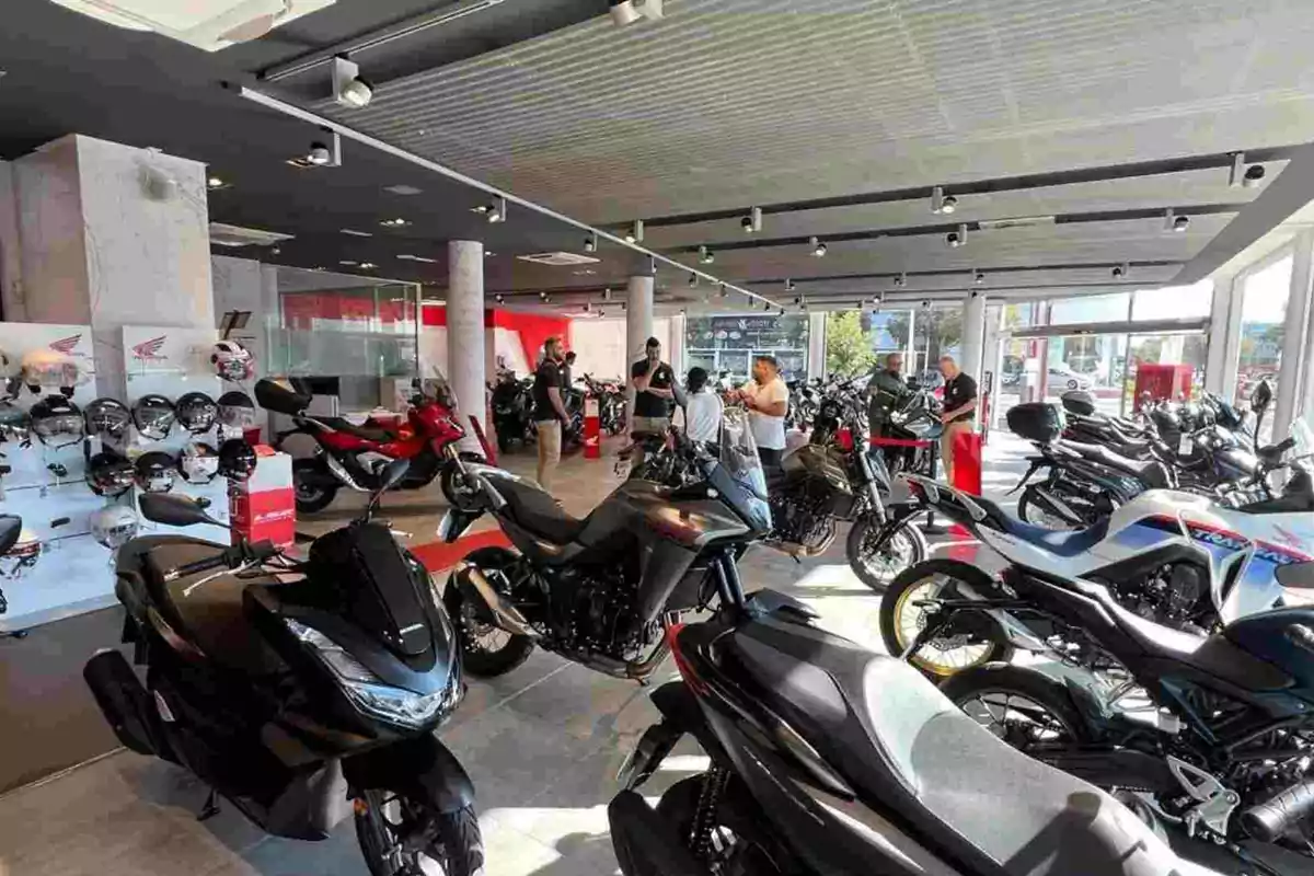 Las matriculaciones de motos durante agosto 2025 Las matriculaciones de motos durante agosto 2025