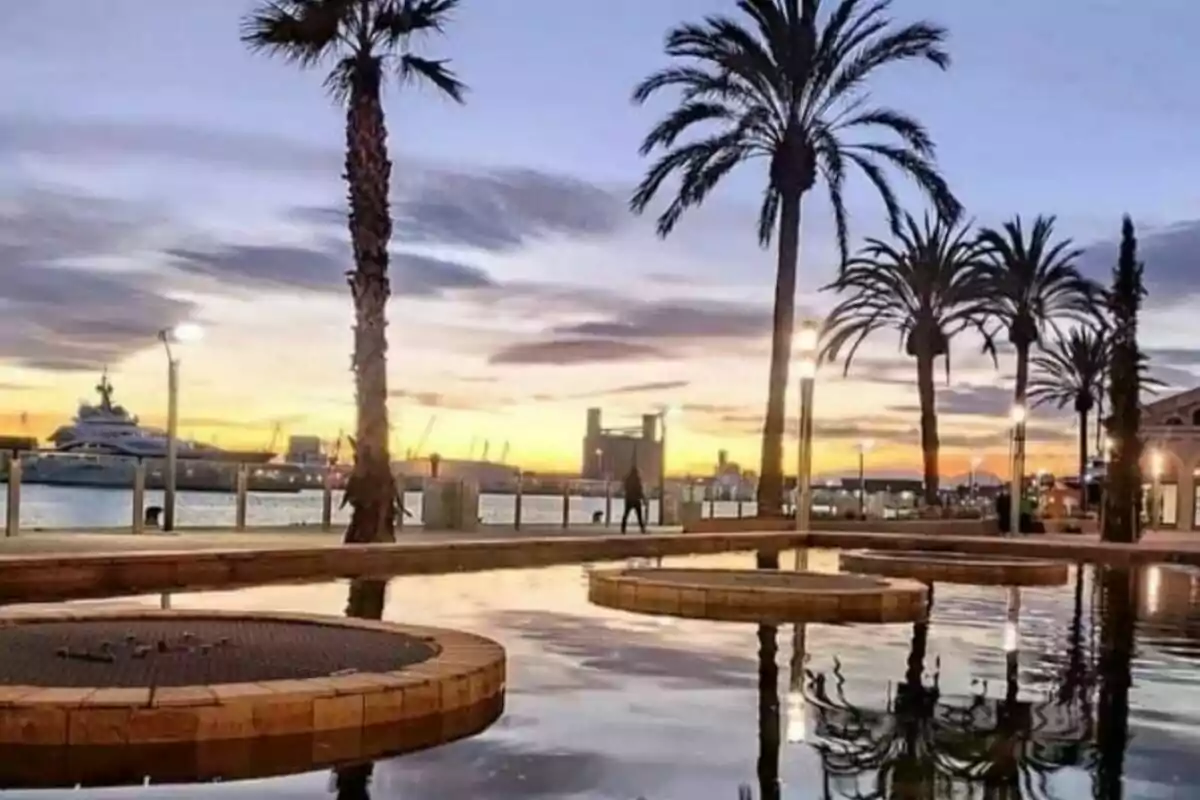 Atardecer en un puerto con palmeras reflejadas en el agua y un barco en el fondo. Atardecer en un puerto con palmeras reflejadas en el agua y un barco en el fondo.