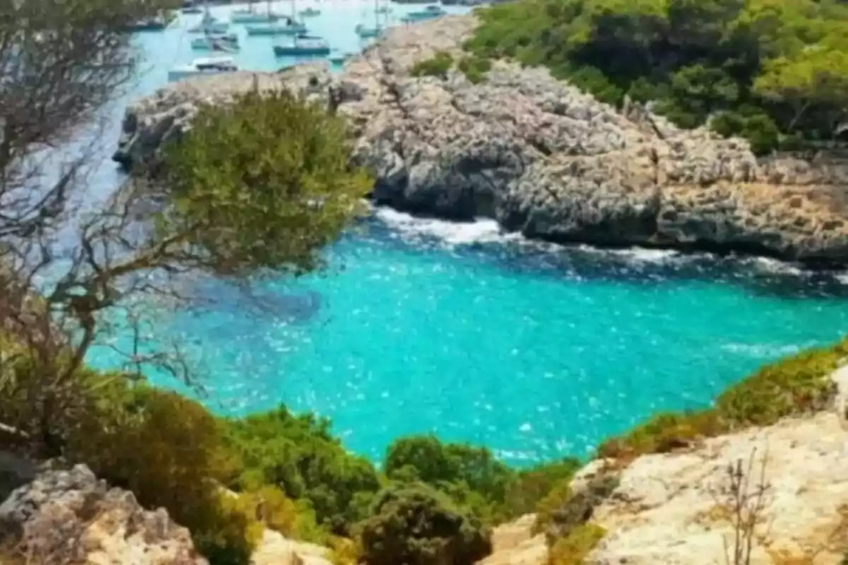 Una cala amb aigües turqueses envoltada de roques i vegetació, amb diversos vaixells ancorats al fons. Una cala amb aigües turqueses envoltada de roques i vegetació, amb diversos vaixells ancorats al fons.