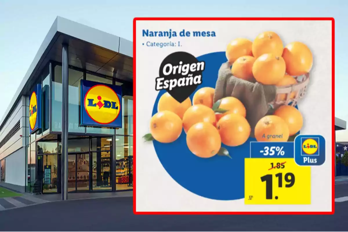 Fachada de una tienda Lidl con un cartel promocional de naranjas de mesa de origen España a un precio reducido. Fachada de una tienda Lidl con un cartel promocional de naranjas de mesa de origen España a un precio reducido.