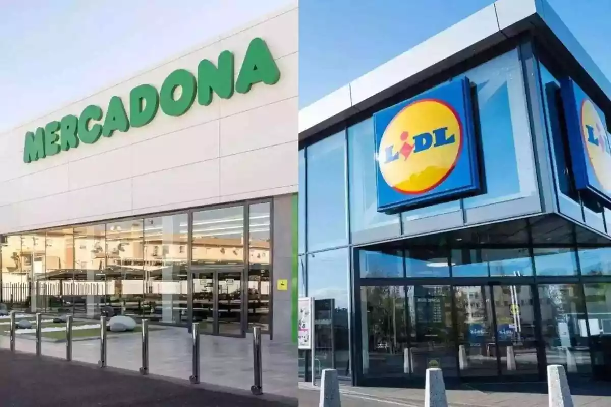 Montaje de una tienda Mercadona y otra Lidl, plano exterior Montaje de una tienda Mercadona y otra Lidl, plano exterior