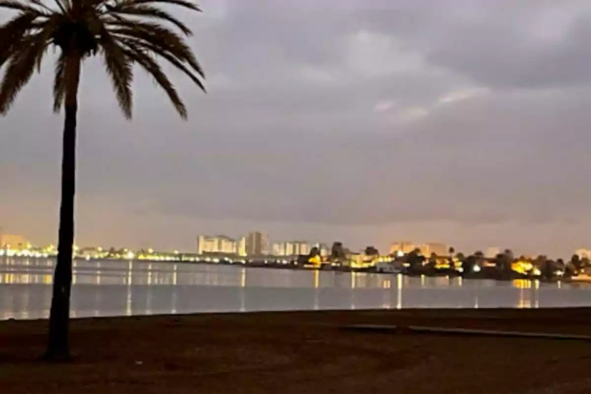 Una palmera en primer plano con una ciudad iluminada al fondo, reflejada en el agua al atardecer. Una palmera en primer plano con una ciudad iluminada al fondo, reflejada en el agua al atardecer.