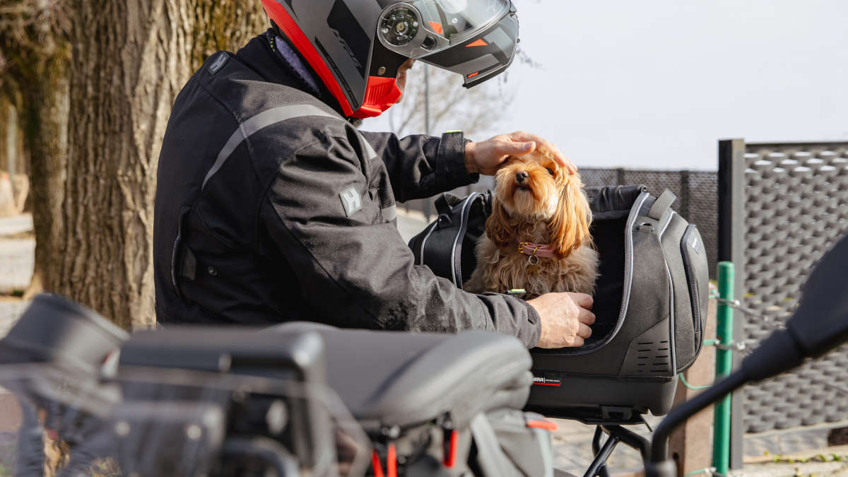 Ya puedes llevar a tu mejor amigo en moto con GIVI